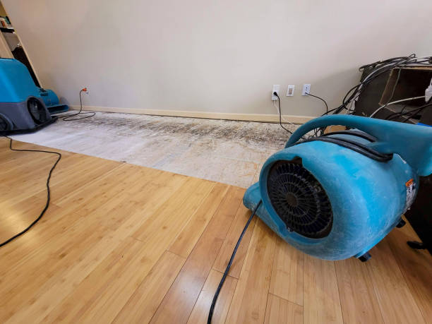 Professional Flood Damage Cleanup technician working in Fostoria, OH